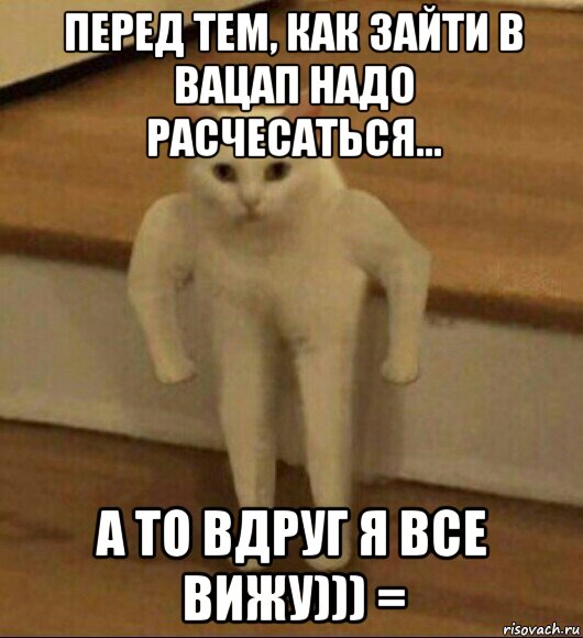 перед тем, как зайти в вацап надо расчесаться... а то вдруг я все вижу))) =, Мем  Полукот