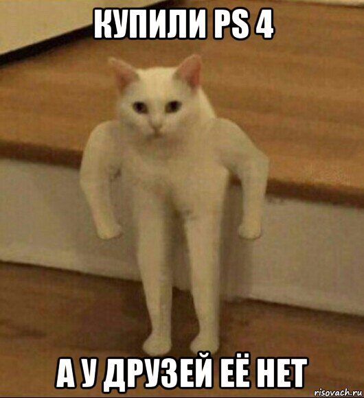 купили ps 4 а у друзей её нет, Мем  Полукот