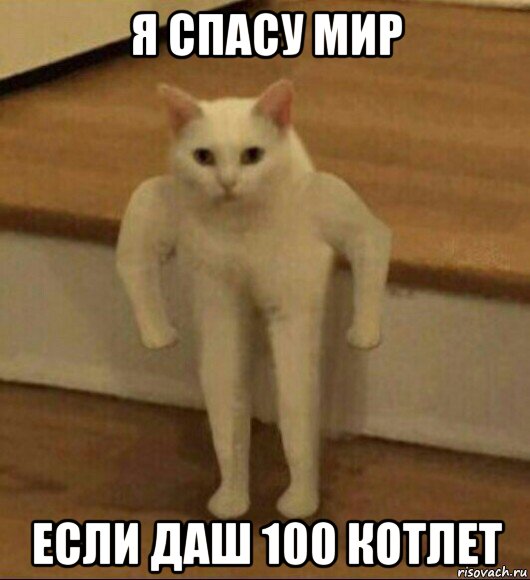 я спасу мир если даш 100 котлет, Мем  Полукот