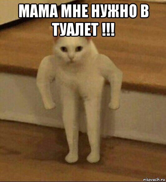 мама мне нужно в туалет !!! , Мем  Полукот