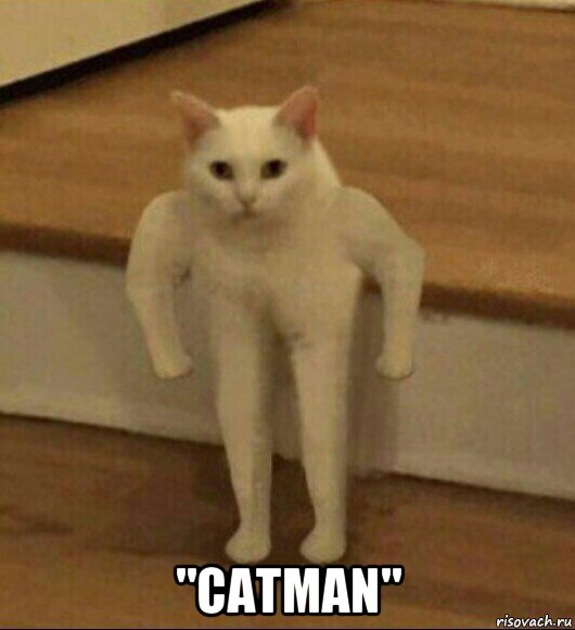  "catman", Мем  Полукот