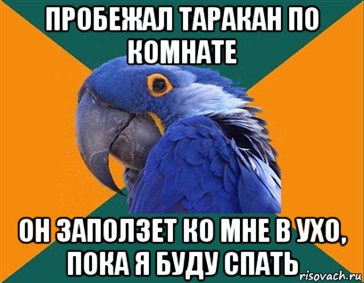 пробежал таракан по комнате он заползет ко мне в ухо, пока я буду спать, Мем Попугай параноик