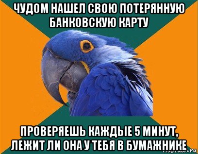 чудом нашел свою потерянную банковскую карту проверяешь каждые 5 минут, лежит ли она у тебя в бумажнике, Мем Попугай параноик