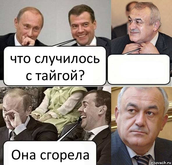 что случилось с тайгой?  Она сгорела, Комикс Путин Медведев и Мамсуров