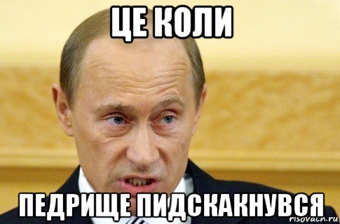 це коли педрище пидскакнувся, Мем путин