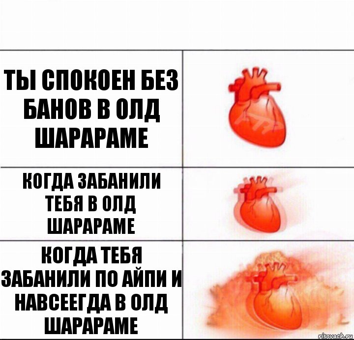 Ты спокоен без банов в олд шарараме Когда забанили тебя в олд шарараме Когда тебя забанили по айпи и навсеегда в олд шарараме, Комикс  Расширяюшее сердце