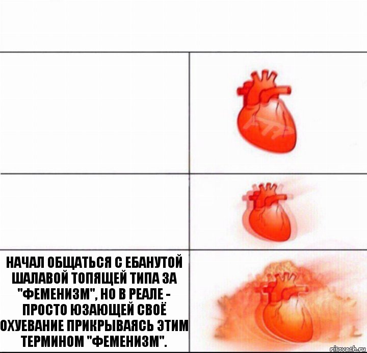   НАЧАЛ ОБЩАТЬСЯ С ЕБАНУТОЙ ШАЛАВОЙ ТОПЯЩЕЙ ТИПА ЗА "ФЕМЕНИЗМ", НО В РЕАЛЕ - ПРОСТО ЮЗАЮЩЕЙ СВОЁ ОХУЕВАНИЕ ПРИКРЫВАЯСЬ ЭТИМ ТЕРМИНОМ "ФЕМЕНИЗМ".