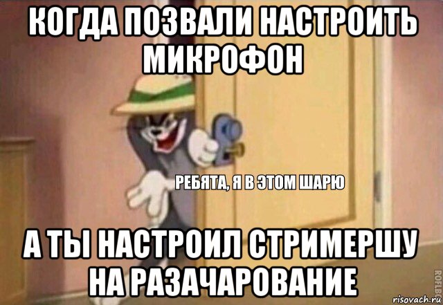 когда позвали настроить микрофон а ты настроил стримершу на разачарование, Мем    Ребята я в этом шарю