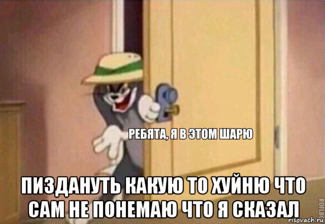  пиздануть какую то хуйню что сам не понемаю что я сказал, Мем    Ребята я в этом шарю