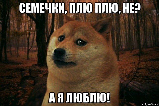 семечки, плю плю, не? а я люблю!, Мем SAD DOGE