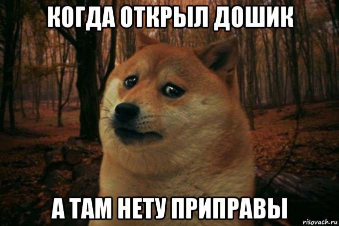 когда открыл дошик а там нету приправы, Мем SAD DOGE