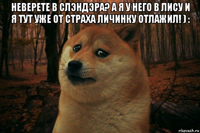 неверете в слэндэра? а я у него в лису и я тут уже от страха личинку отлажил! ) : , Мем SAD DOGE