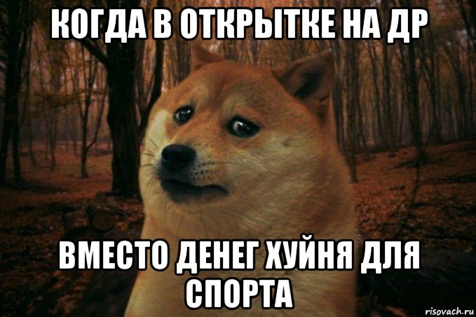 когда в открытке на др вместо денег хуйня для спорта, Мем SAD DOGE