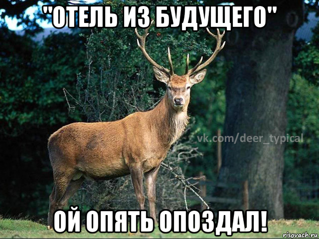 "отель из будущего" ой опять опоздал!
