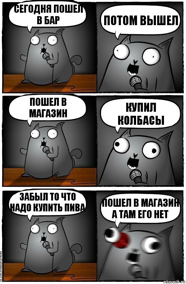 сегодня пошел в бар потом вышел пошел в магазин купил колбасы забыл то что надо купить пива пошел в магазин а там его нет, Комикс  Стендап-кот