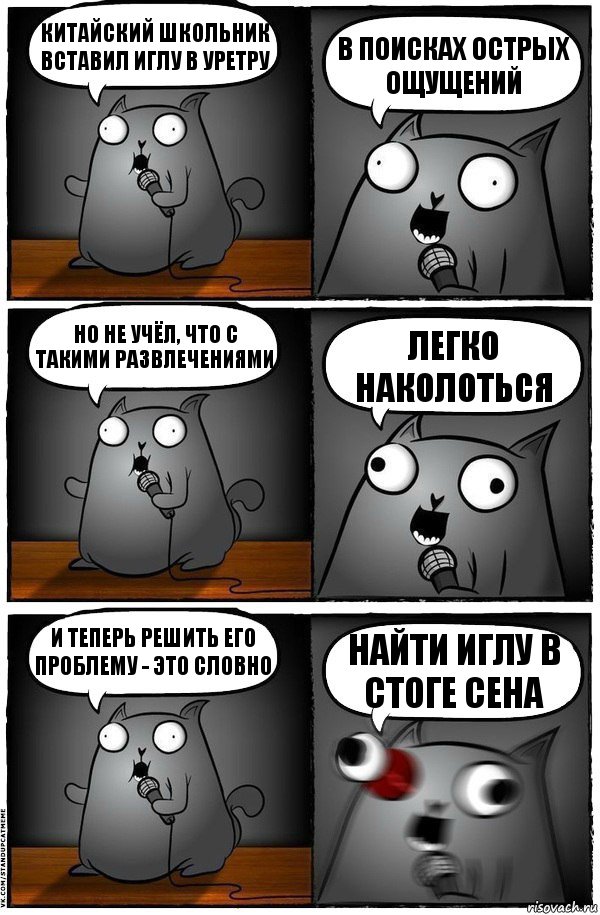 Китайский школьник вставил иглу в уретру в поисках ОСТРЫХ ОЩУЩЕНИЙ Но не учёл, что с такими развлечениями Легко наколоться И теперь решить его проблему - это словно НАЙТИ ИГЛУ В СТОГЕ СЕНА, Комикс  Стендап-кот