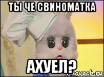 ты че свиноматка ахуел?, Мем степашка