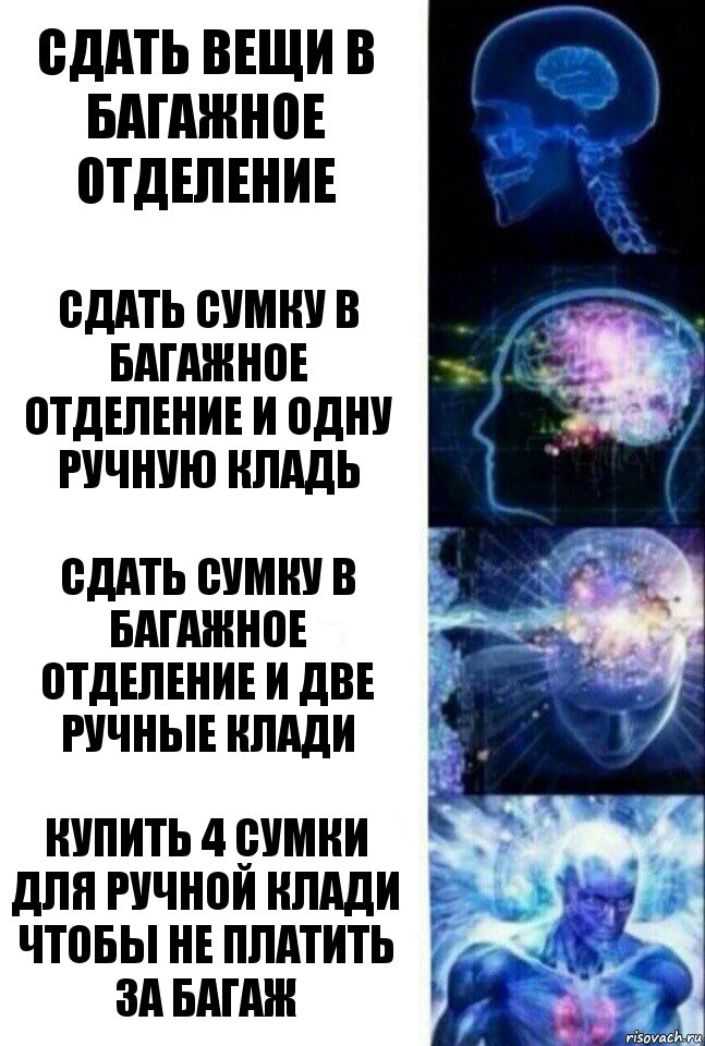 Сдать вещи в багажное отделение Сдать сумку в багажное отделение и одну ручную кладь Сдать сумку в багажное отделение и две ручные клади Купить 4 сумки для ручной клади чтобы не платить за багаж, Комикс  Сверхразум