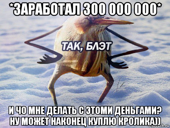 *заработал 300 000 000* и чо мне делать с этоми деньгами? ну может наконец куплю кролика)), Мем  Так блэт птица с руками