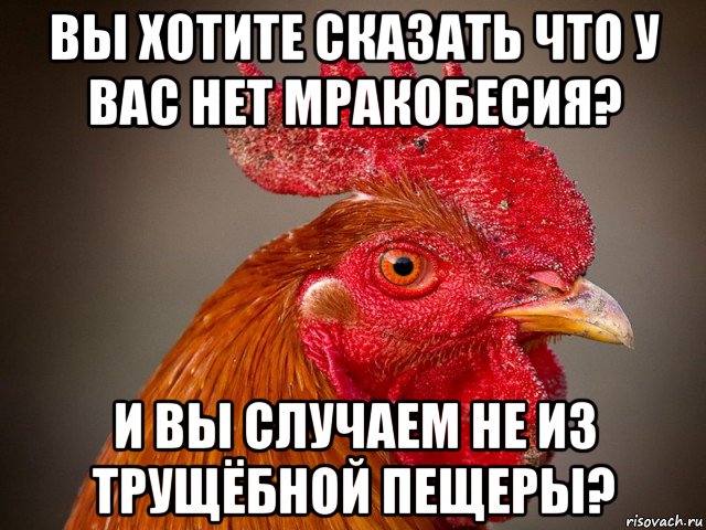 вы хотите сказать что у вас нет мракобесия? и вы случаем не из трущёбной пещеры?