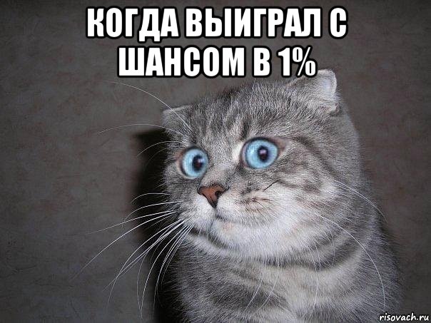 когда выиграл с шансом в 1% , Мем  удивлённый кот