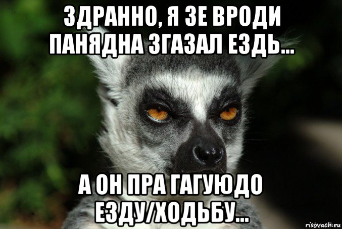 здранно, я зе вроди панядна згазал ездь... а он пра гагуюдо езду/ходьбу..., Мем   Я збагоен