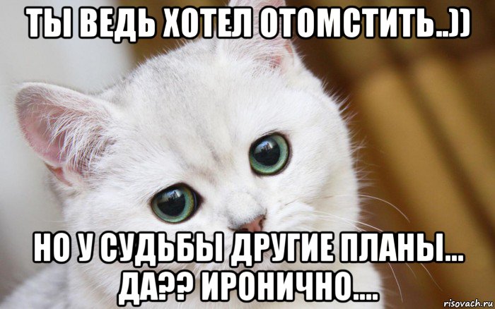 ты ведь хотел отомстить..)) но у судьбы другие планы... да?? иронично....