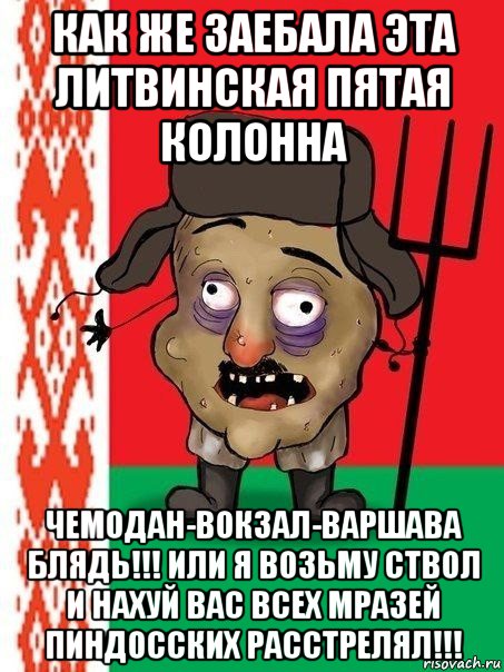 как же заебала эта литвинская пятая колонна чемодан-вокзал-варшава блядь!!! или я возьму ствол и нахуй вас всех мразей пиндосских расстрелял!!!, Мем Ватник белорусский