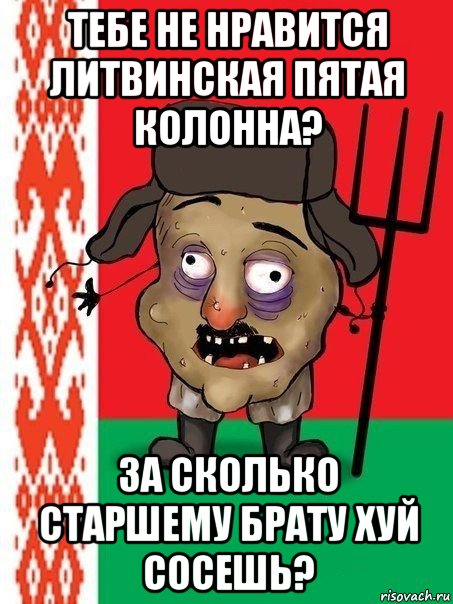 тебе не нравится литвинская пятая колонна? за сколько старшему брату хуй сосешь?