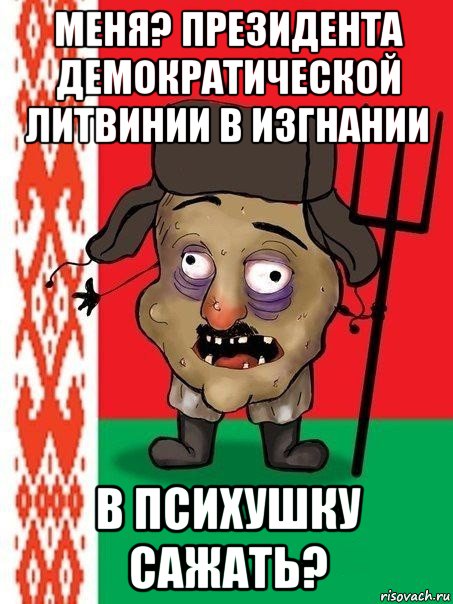 меня? президента демократической литвинии в изгнании в психушку сажать?, Мем Ватник белорусский