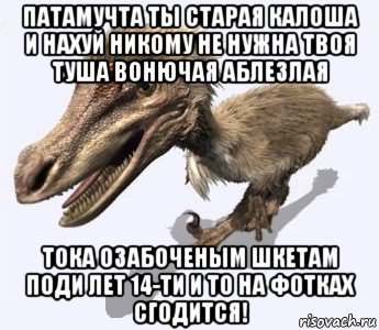 патамучта ты старая калоша и нахуй никому не нужна твоя туша вонючая аблезлая тока озабоченым шкетам поди лет 14-ти и то на фотках сгодится!, Мем Вело