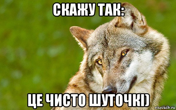 скажу так: це чисто шуточкі), Мем   Volf