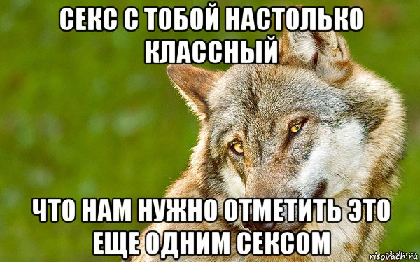 секс с тобой настолько классный что нам нужно отметить это еще одним сексом, Мем   Volf