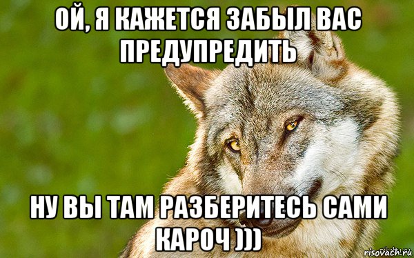 ой, я кажется забыл вас предупредить ну вы там разберитесь сами кароч ))), Мем   Volf