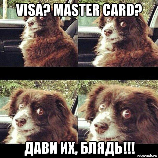 visa? master card? дави их, блядь!!!, Мем Заводи это дерьмо