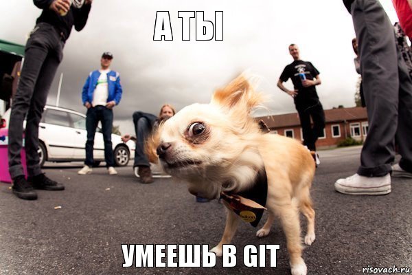 А ты умеешь в GIT, Комикс а туда ли ты зашел