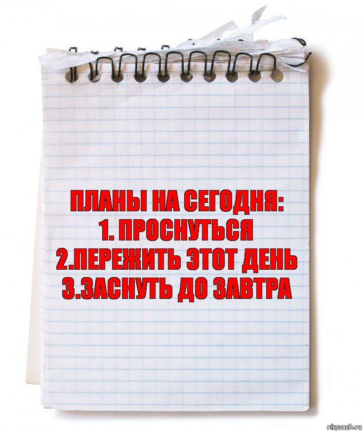 Планы на сегодня:
1. Проснуться
2.Пережить этот день
3.Заснуть до завтра, Комикс   блокнот с пружинкой