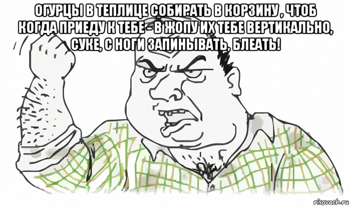 огурцы в теплице собирать в корзину , чтоб когда приеду к тебе - в жопу их тебе вертикально, суке, с ноги запинывать, блеать! 