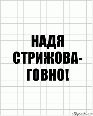 Надя стрижова- говно!, Комикс  бумага