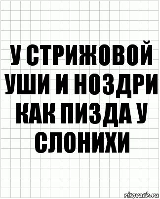 У стрижовой уши и ноздри как пизда у слонихи, Комикс  бумага