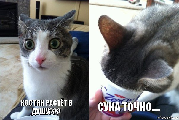 КОСТЯН РАСТЁТ В ДУШУ??? СУКА ТОЧНО...., Комикс  Да не бред-какой-то (2 зоны)