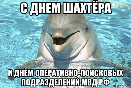 с днем шахтёра и днём оперативно-поисковых подразделений мвд рф, Мем Дельфин