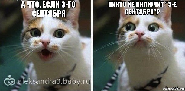 А что, если 3-го сентября никто не включит "3-е сентября"?, Комикс Если кто-то меня спросит что-либ