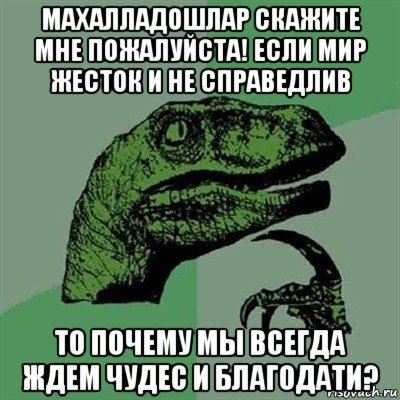 махалладошлар скажите мне пожалуйста! если мир жесток и не справедлив то почему мы всегда ждем чудес и благодати?, Мем Филосораптор