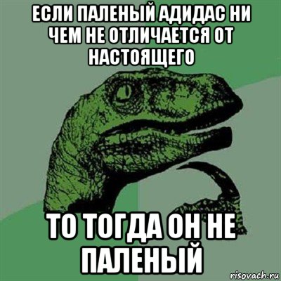 если паленый адидас ни чем не отличается от настоящего то тогда он не паленый, Мем Филосораптор