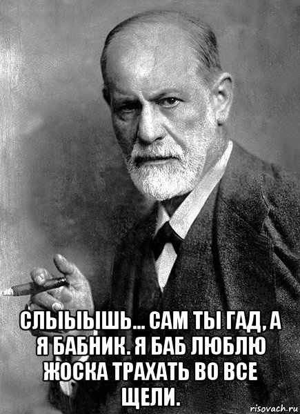  слыыышь... сам ты гад, а я бабник. я баб люблю жоска трахать во все щели., Мем  Фрейд