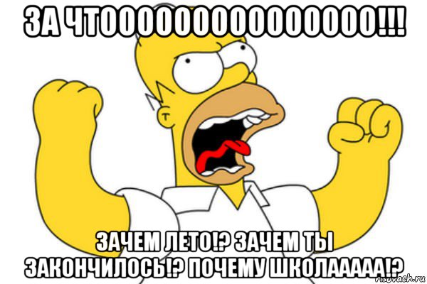 за чтооооооооооооооо!!! зачем лето!? зачем ты закончилось!? почему школааааа!?, Мем Разъяренный Гомер