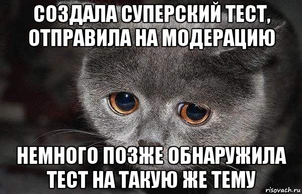 создала суперский тест, отправила на модерацию немного позже обнаружила тест на такую же тему