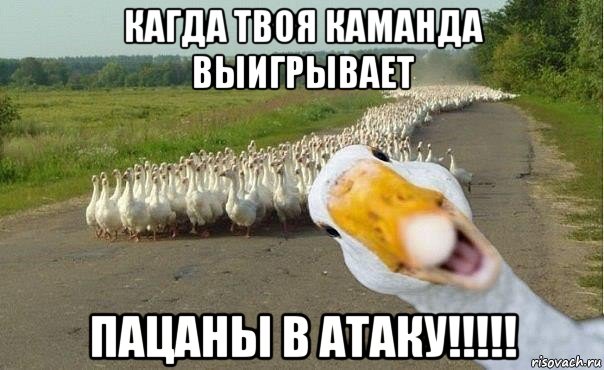 кагда твоя каманда выигрывает пацаны в атаку!!!!!