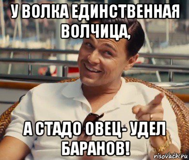 у волка единственная волчица, а стадо овец- удел баранов!, Мем Хитрый Гэтсби